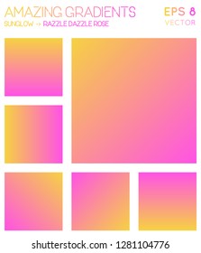 Colorful gradients in sunglow, razzle dazzle rose color tones. Alive gradient background, awesome vector illustration.