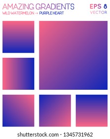 Colorful gradients in wild watermelon, purple heart color tones. Alive background, actual vector illustration.