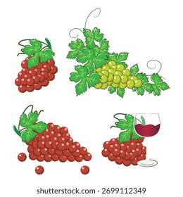 Coloridos racimos de uva y salpicaduras de Colección