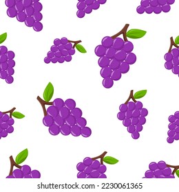 Colorful Grape Seamless Pattern Background. EPS 10 Vector