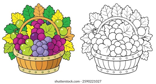 Colorful Grapes In Basket Coloring Page For Kids Printable With Outline Vector On White Background