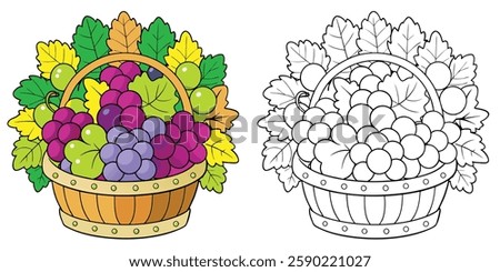 Colorful Grapes In Basket Coloring Page For Kids Printable With Outline Vector On White Background