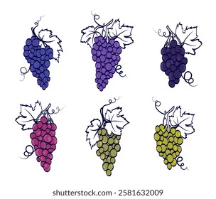 Colorful grapes set. Violet, green and blue sketch of grapes. Vineyard and winemaking. Agriculture and viticulture. Ingredient for alcoholic drinks. Flat vector collection isolated on white background