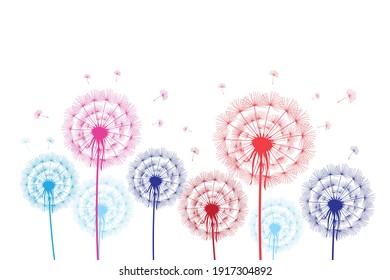 Colorful graphic dandelions on a white background. Example of a floral background for a website or design