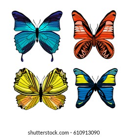 Colorful graphic insects set with different kinds of butterflies on white background isolated vector illustration 