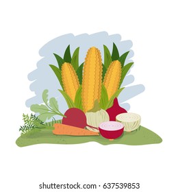 colorful graphic with set of vegetables vector illustration