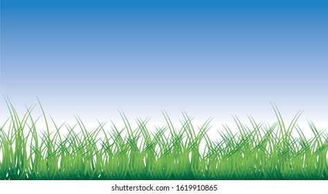 Colorful grass and sky mock up background. Vector illustration.