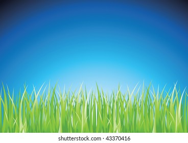 Colorful grass. Vector.