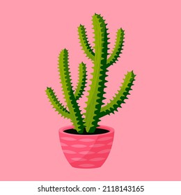Colorful green cactus with thorns in a pink decorated pot. Flat design cactus vector illustration