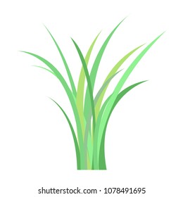 Colorful Green Grass Object On White Stock Vector (Royalty Free ...