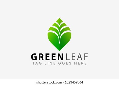 Ilustración de vectores de diseño con logotipo creativo de hojas verdes coloridas