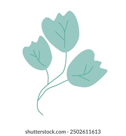 colorful green leaf on white background.	