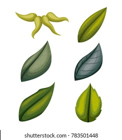 colorful green leafs set in white background