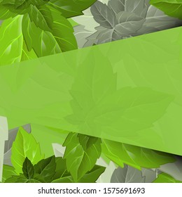 Colorful green leaves in beautiful style on light background. Leaf vector texture pattern background. Pattern on green backdrop. Decorative backdrop vector