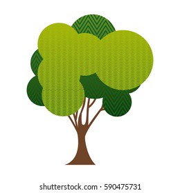 colorful green tree plant forest with wave and zigzag lines vector illustration