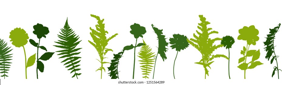 Colorful green twig fern and other plants of nature. Vector Illustration. EPS10