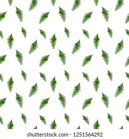 Colorful green twig fern. seamless pattern. Vector Illustration. EPS10