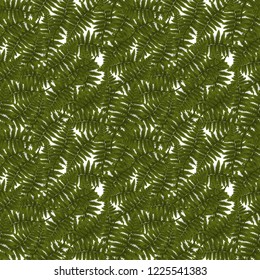 Colorful green twig fern. Vector Illustration. EPS10