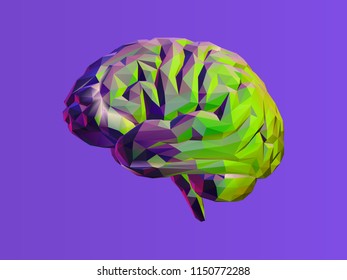 Colorful green vector low poly brain illustration isolated on purple background