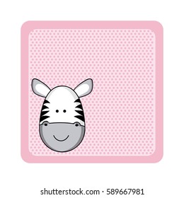 colorful greeting card with picture zebra animal vector illustration