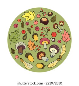 Colorful group of mushrooms, autumn leaves, acorns, chestnuts and berries.