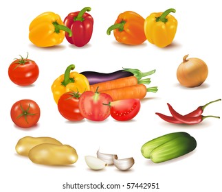 The colorful group of vegetables. Photo-realistic vector.