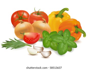 The colorful group of vegetables. Photo-realistic vector.