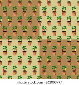 Colorful growing peppers in flowerpots vector background