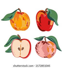 Colorful half, cut and whole of juicy apples vector illustration isolated on white. Hand drawn red, yellow, pink fruits for illustrating healthy eating, recipes, local farm. Card with apple.