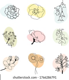flores vectoriales de dibujo manual coloridas