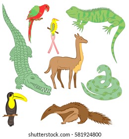 Colorful Hand Drawn Animals of South America. Doodle Drawings of Iguana, Crocodile, Parrot Ara, Toucan, Hummingbird,Anaconda, Anteater and llama. Flat Style. Vector Illustration.