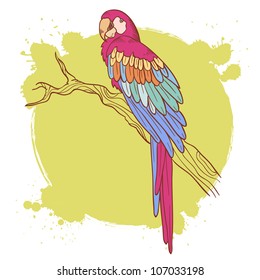 Colorful hand drawn ara parrot sitting on a tree brunch isolated on a grunge background