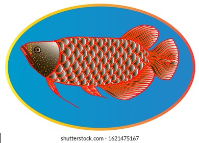 Colorful Hand drawn arowana fish. Vector Illustration. for logo or other design. 