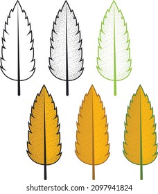 Colorful hand drawn autumn leaves. Hand draw leaves collection. Autumn leaf vector illustration.