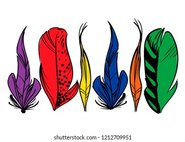 Colorful hand drawn bird feathers, isolated on white background. A set of beautiful bird plumage. Vector illustration