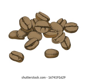 Colorful hand drawn coffee beans heap. Vector illustration in retro style