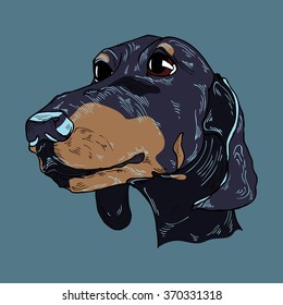 Colorful hand drawn dog portrait in vector