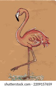 Colorful Hand Drawn Flamingo On Craft Paper