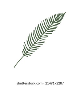 Colorful hand drawn flat houseplant isolated on white background