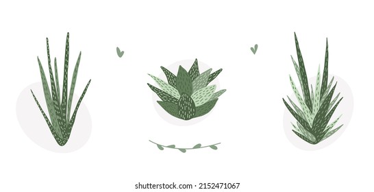 Colorful hand drawn flat houseplant set isolated on white background