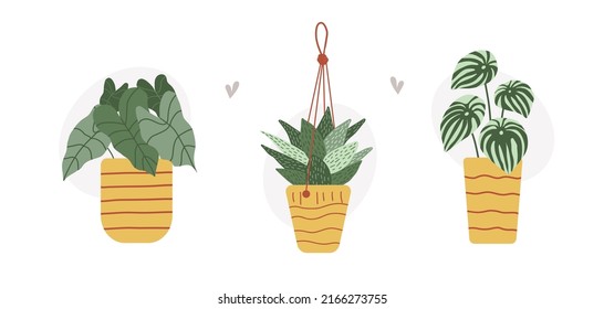 Colorful hand drawn flat houseplants isolated on white background