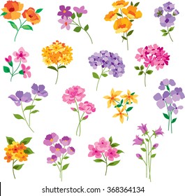 colorful hand drawn flowers