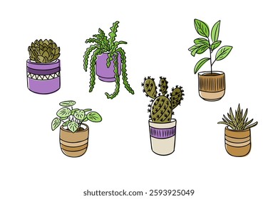 Colorful hand drawn illustration of various potted houseplants, including succulents, cacti, and leafy greens, perfect for botanical designs, interior decor, stickers, and digital projects