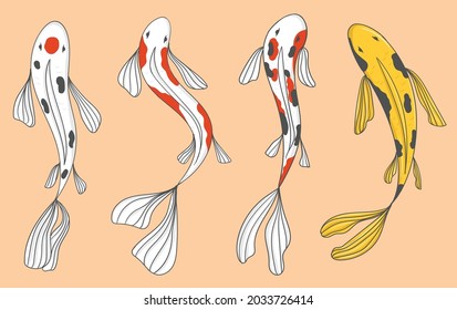 colorful hand drawn koi fish collection