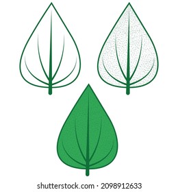 Colorful hand drawn leaves. Hand draw leaves collection. Leaf vector illustration.