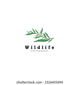 colorful hand drawn leaves logo icon in vector