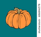 Colorful hand drawn Linear Pumpkin illustration. Pumpkin painted with a pen and ink vector