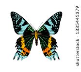 Colorful hand drawn Madagascan Sunset Moth . Vector illustration