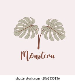 Hojas de monstera dibujadas a mano