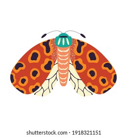 Colorful hand drawn moth illustration on white background. Stylized flying insects, decorative elements, vector illustration. 